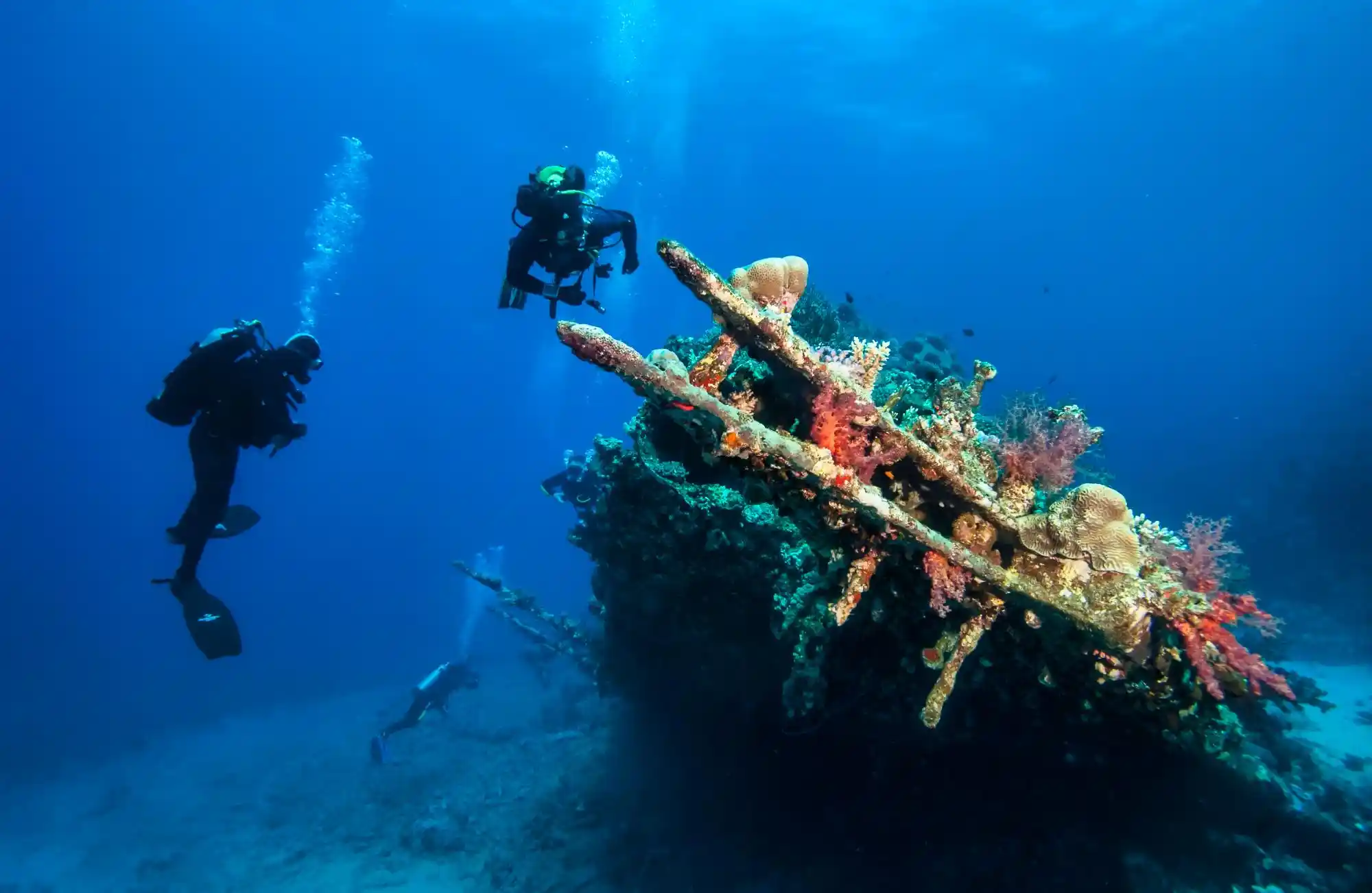 scuba divers explore sunken ships at the bottom